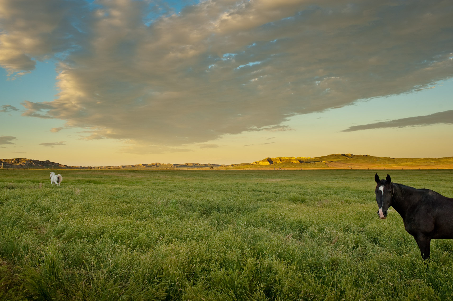 Montana Photographer Thomas Lee-Landscape 11