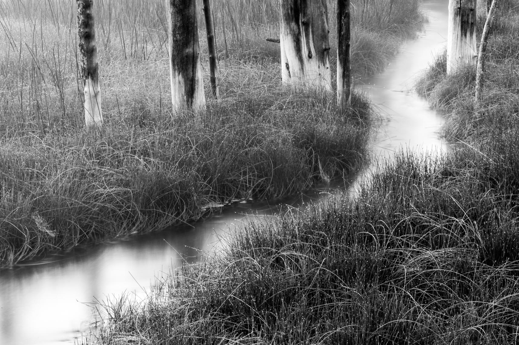 Montana Fine Art Photographer Thomas Lee -Black and White Landscape 05