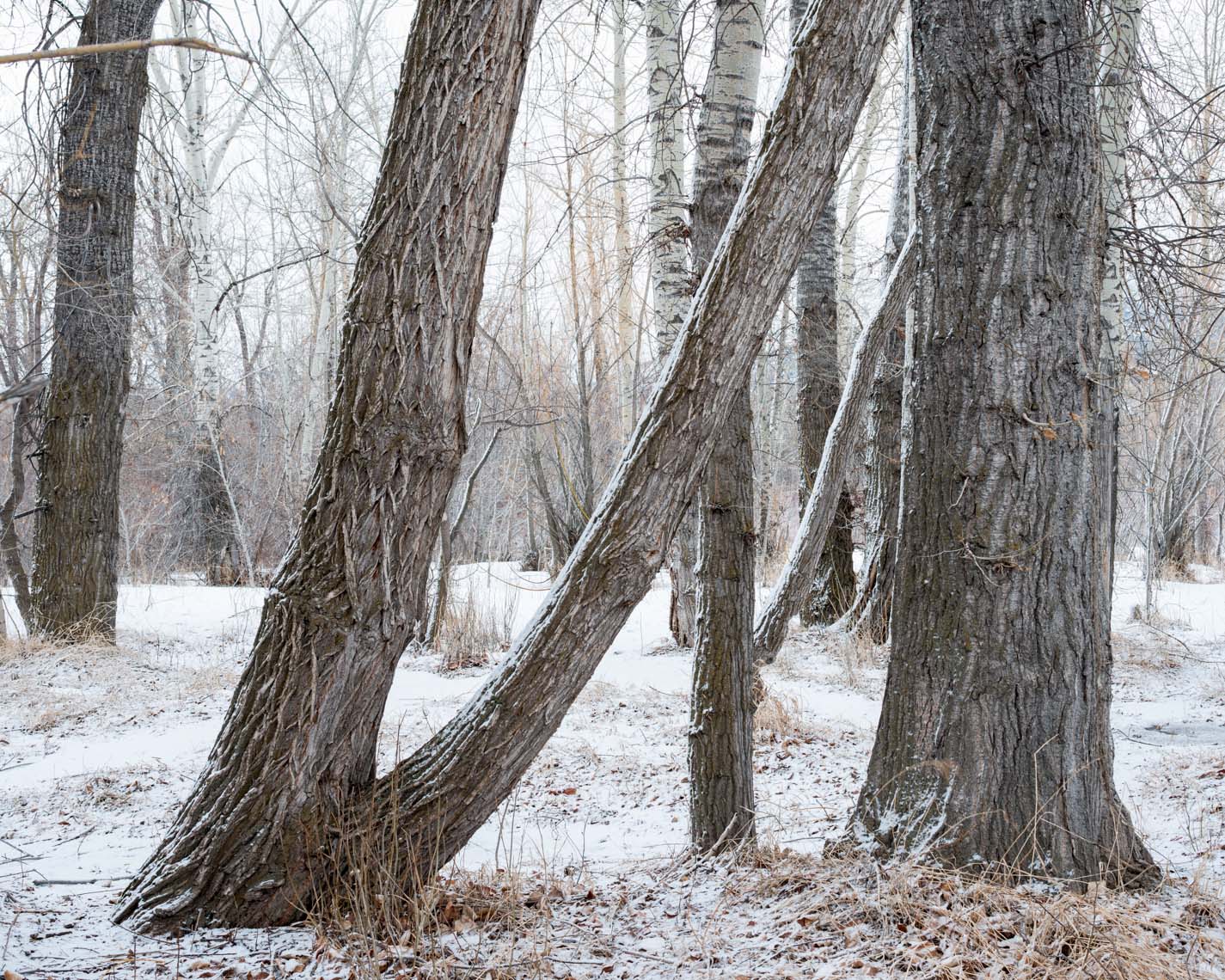 Montana Fine Art Photographer Thomas Lee - Undiscovered Country 05