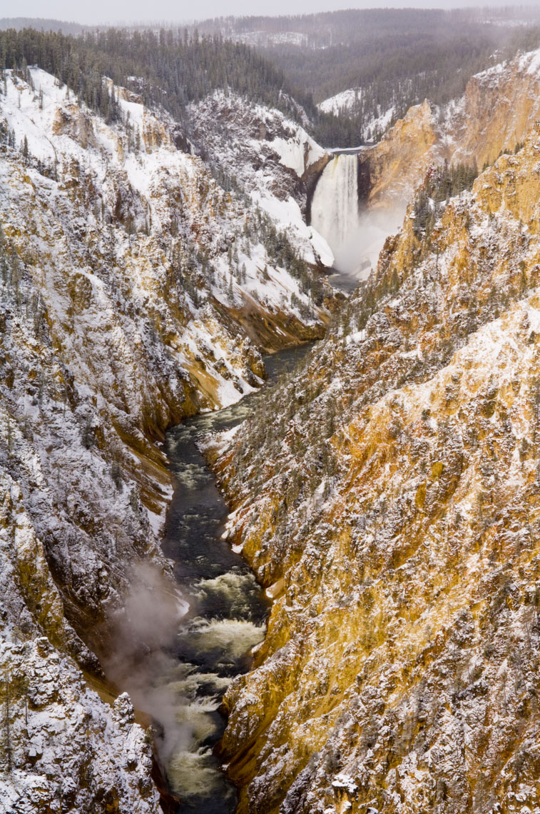 Yellowstone Photographer Thomas Lee -Landscape Wildlife 05