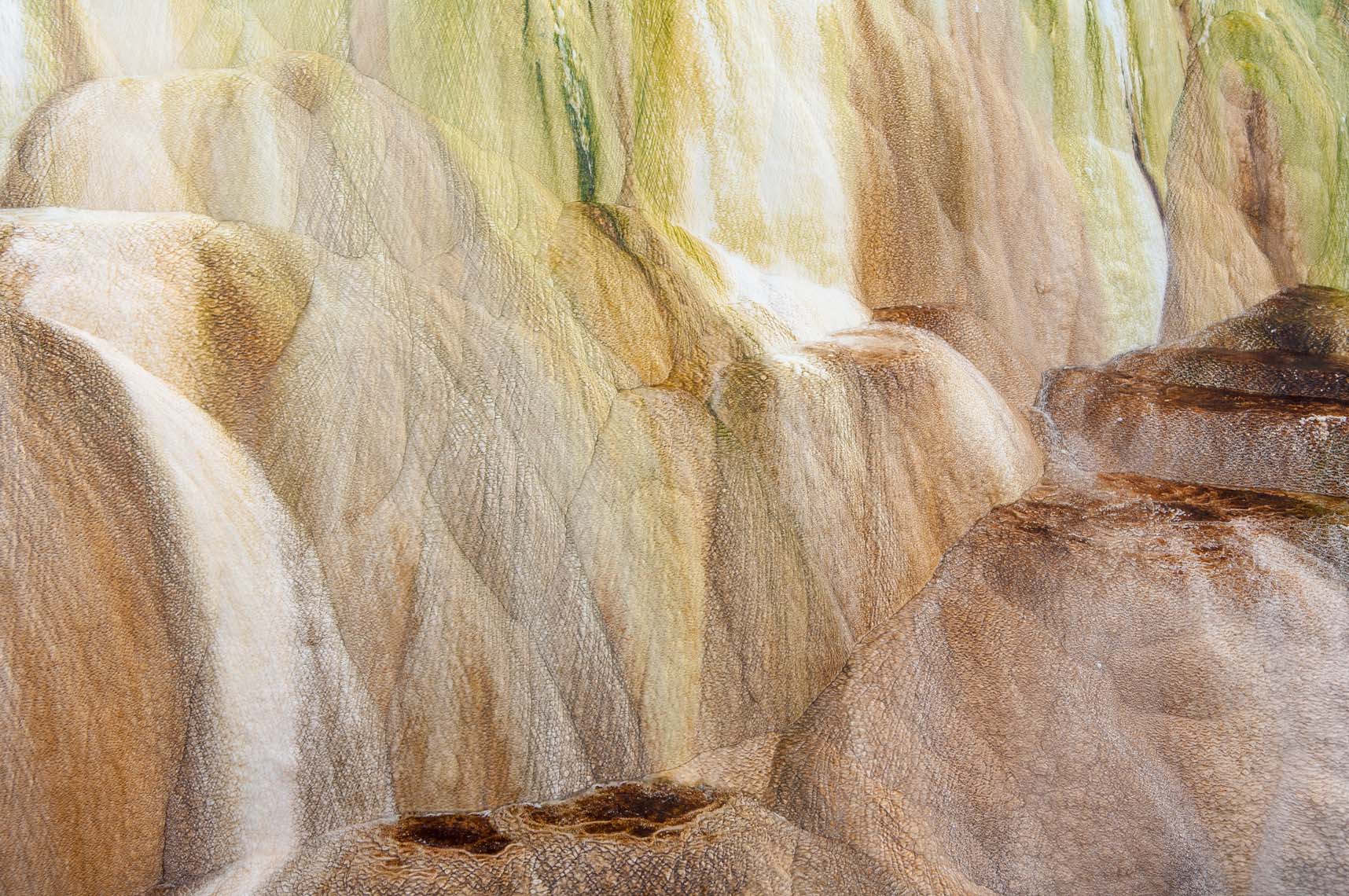 Yellowstone Photographer Thomas Lee - Landscape Wildlife 12