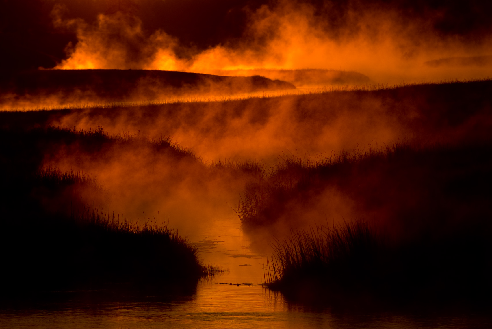 Yellowstone Photographer Thomas Lee - Landscape Wildlife 23